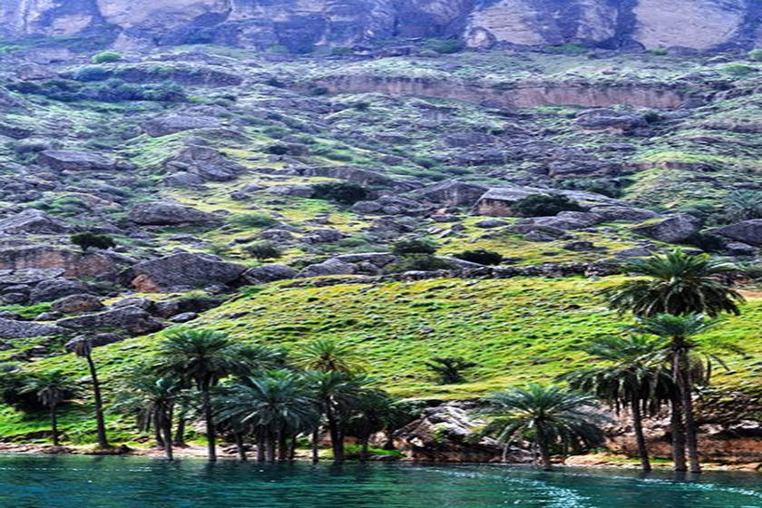 هشدار نسبت به جاده‌های خطرناک روستای گردشگری پامنار؛ تهدیدی برای گردشگری و ایمنی مسافران