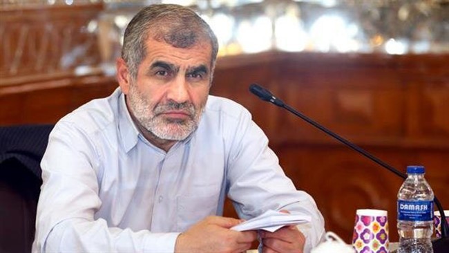 نیکزاد: کشتی‌ها برای عبور از تنگه هرمز باید از قانون مصوب مجلس تبعیت کنند
