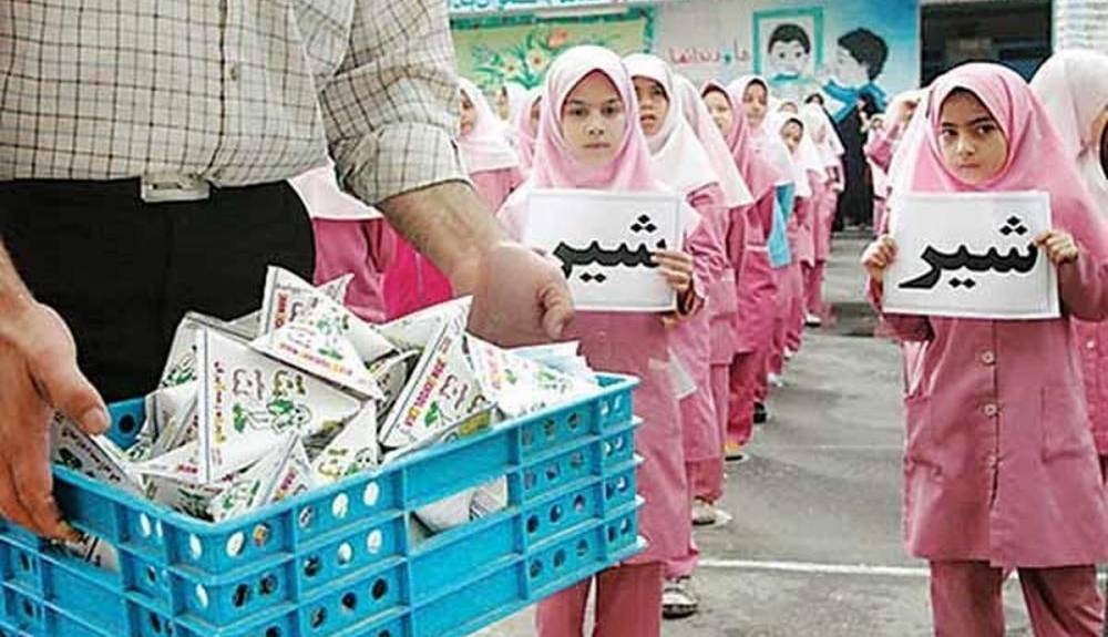 «شیر» تنها در مدارس ۴ استان توزیع شده است/ توزیع در سراسر کشور منوط به پای کار آمدن شرکتهای لبنی