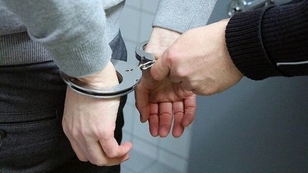 فرد حیوان‌آزار در ایلام بازداشت شد