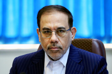 سخنگوی قوه قضاییه: ۶۰ تا ۷۰ هزار نفر مشمول عفو و تخفیف مجازات خواهند شد/ محکومین پرونده چای دبش ممنوع الخروج هستند