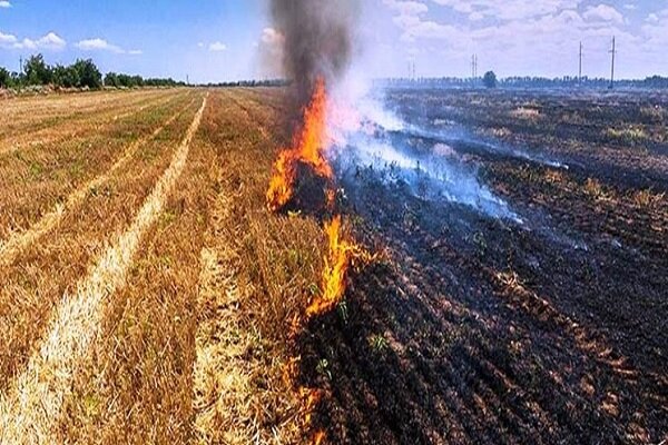 هشدار سازمان جهاد کشاورزی خوزستان درباره ممنوعیت آتش زدن مزارع و بقایای گیاهی