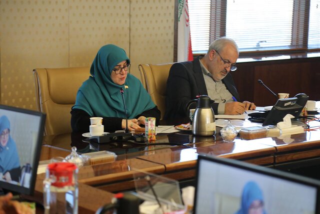 سخنگوی دولت در اختتامیه پویش ۲۵ درجه؛ عبور از ناترازی برق تابستان با کمک مردم، بخش دولتی و خصوصی
