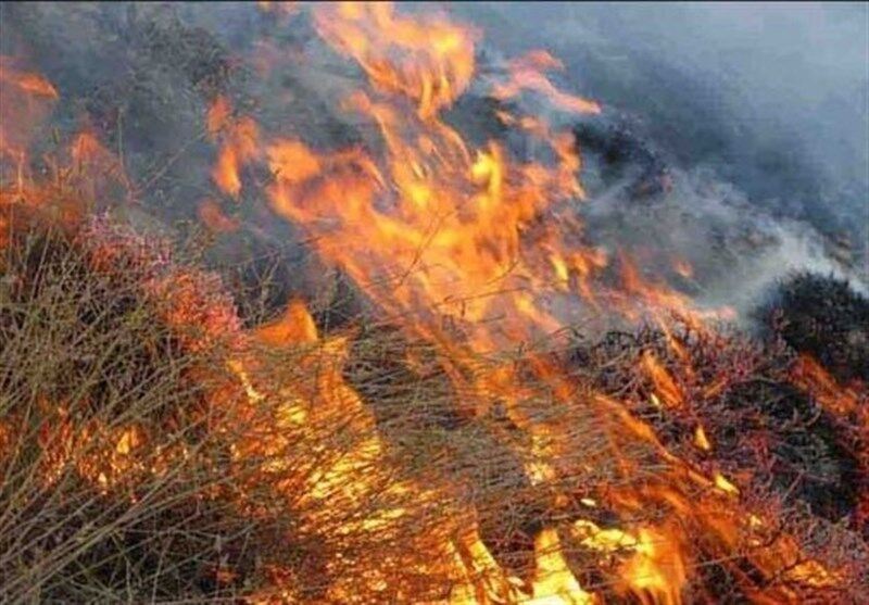 فرمانده یگان حفاظت منابع طبیعی خبر داد: افزایش هشت درصدی آتش‌سوزی‌ها/ گردشگران در قبال طبیعت احساس مسوولیت کنند