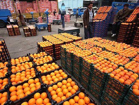 مدیرعامل سازمان تعاون روستایی خبر داد؛ میوه شب عید دو برابر سال قبل ذخیره شد