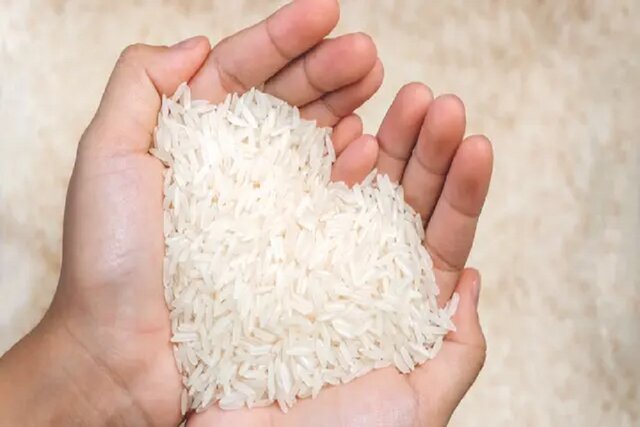 عضو هیات‌مدیره اتحادیه بنکداران اعلام کرد؛ برنج هندی ارزان شد/ برنج ایرانی در راه کاهش