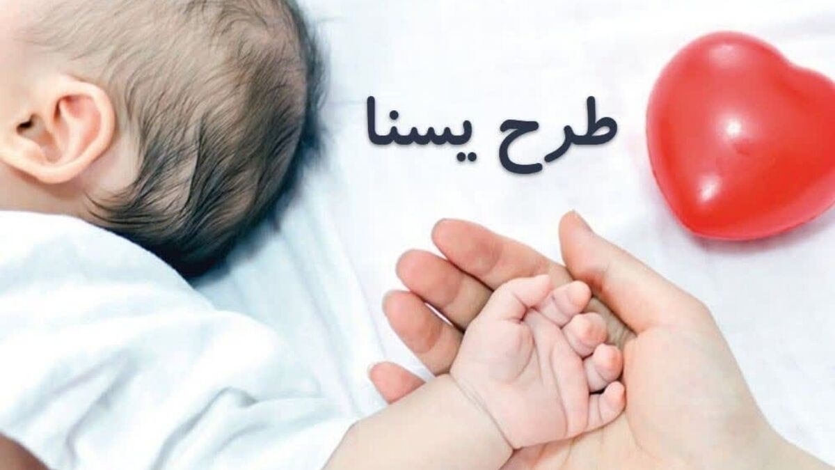 اعتبار مرحله دوم طرح یسنا شارژ شد/ میوه و پوشک دو محصول جدید سبد کالا