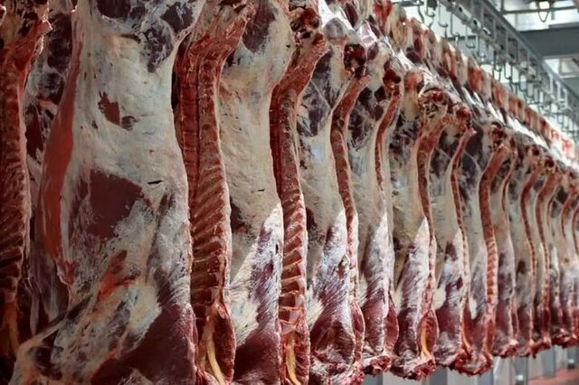 رئیس شورای تأمین دام کشور عنوان کرد؛ گوشت ۸۰۰ هزار تومانی، نتیجه حذف ارز ترجیحی