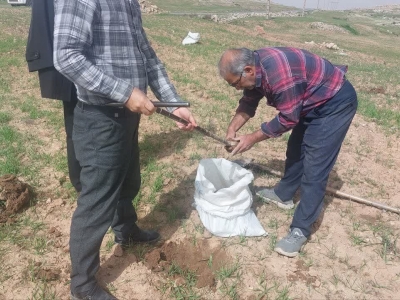 اجرای فاز جدید طرح ملی پایش کیفیت خاک‌های کشاورزی شمال خوزستان