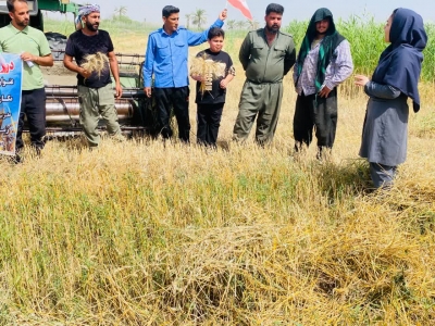 توسعه کشاورزی پایدار با مدیریت بقایای گیاهی