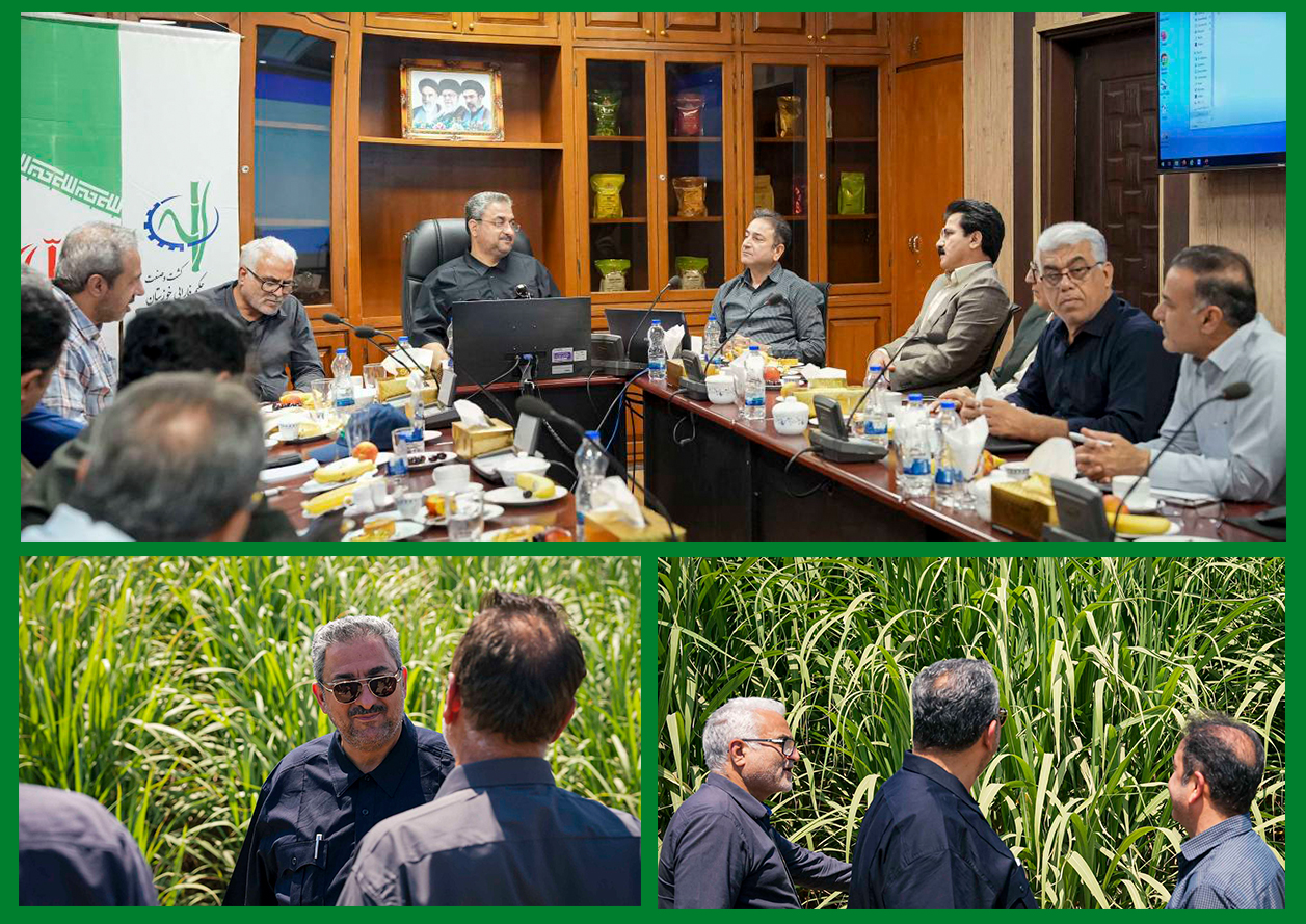 توانمندسازی کسب‌وکارهای روستایی همجوار نیشکر/توسعه پایدار نیشکر با مشارکت جوامع محلی