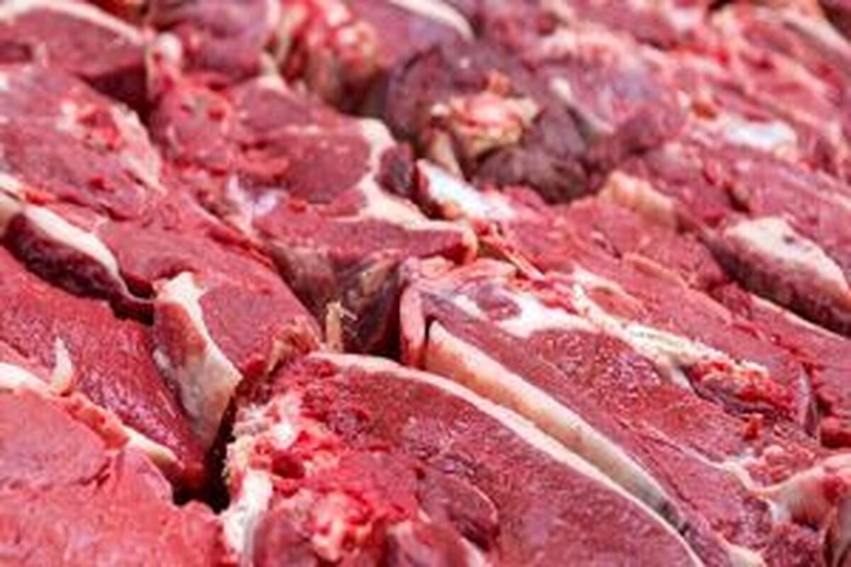 افزایش عرضه گوشت قرمز در شهریور ماه